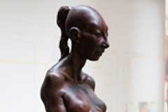 200cm - Sea Pile of Tropical Hard Wood - Meerespfahl aus hartem Tropenholz