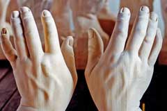 30cm - LimeWood - Lindenholz